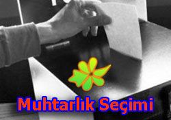 te Muhtarlk Seimi Anket Sonular